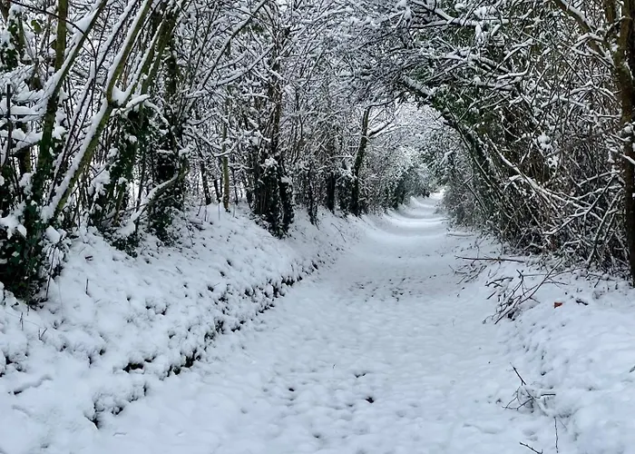 La Paix, D'hote En Suisse Normande 3*
